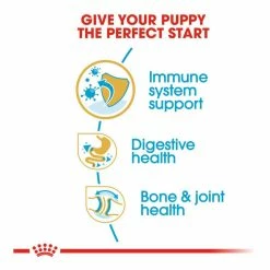 Royal Canin Bulldog Junior 3kg 9 Royal Canin Bulldog Junior 3kg -Dog Food shop royal canin puppy bullgod dry food kibbles special diet
