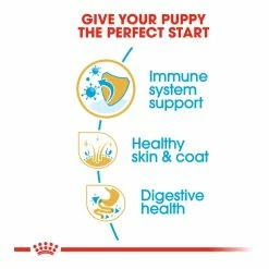 Royal Canin Cocker Spaniel Junior 3kg -Dog Food shop royal canin puppy cocker dry kibble special diet