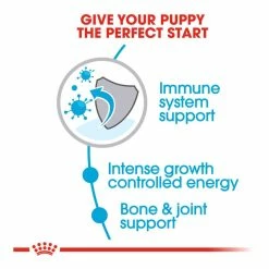 Royal Canin Giant Puppy 3.5kg -Dog Food shop royal canin puppy giant dry food kibbles special diet 1
