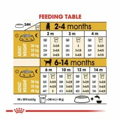 Royal Canin Labrador Retriever Junior 12kg -Dog Food shop royal canin puppy labrador retriever tailored made dry food kibbles feeding guide 1