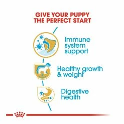 Royal Canin Labrador Retriever Junior 12kg -Dog Food shop royal canin puppy labrador retriever tailored made dry food kibbles special diet 1