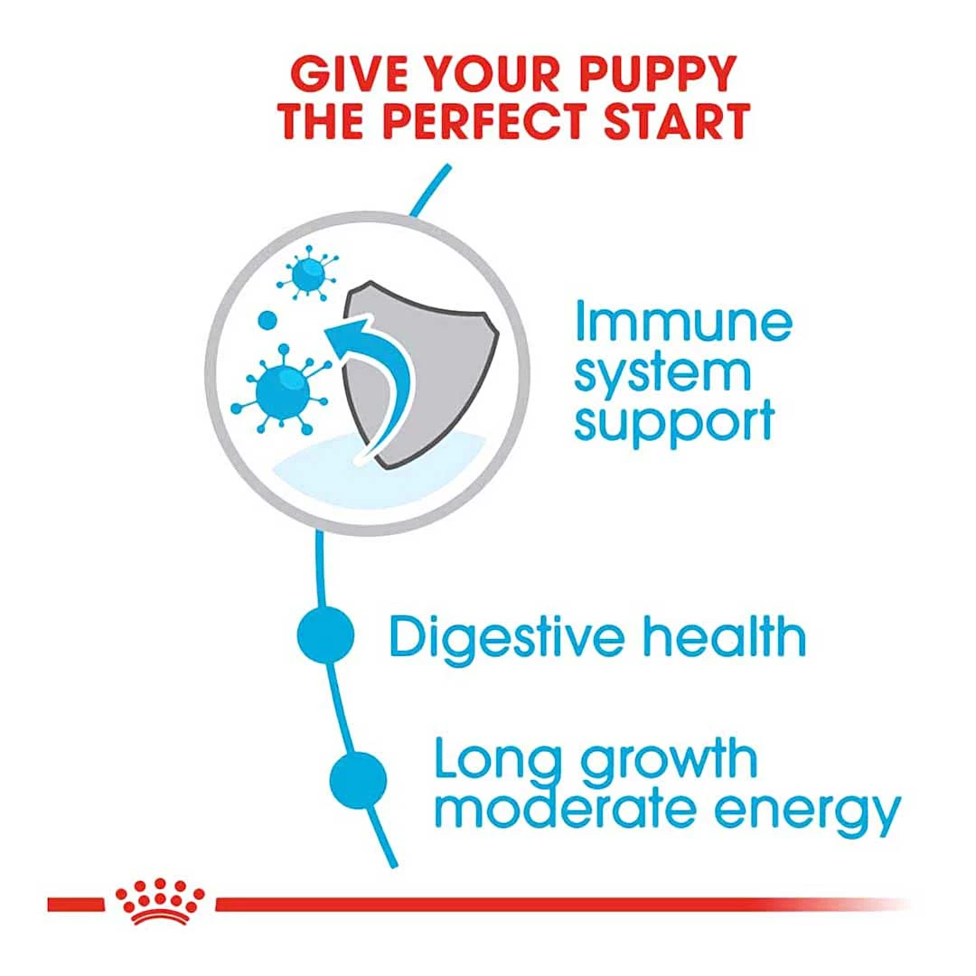 Royal Canin Maxi Junior 4kg 9 Royal Canin Maxi Junior 4kg - Image 9