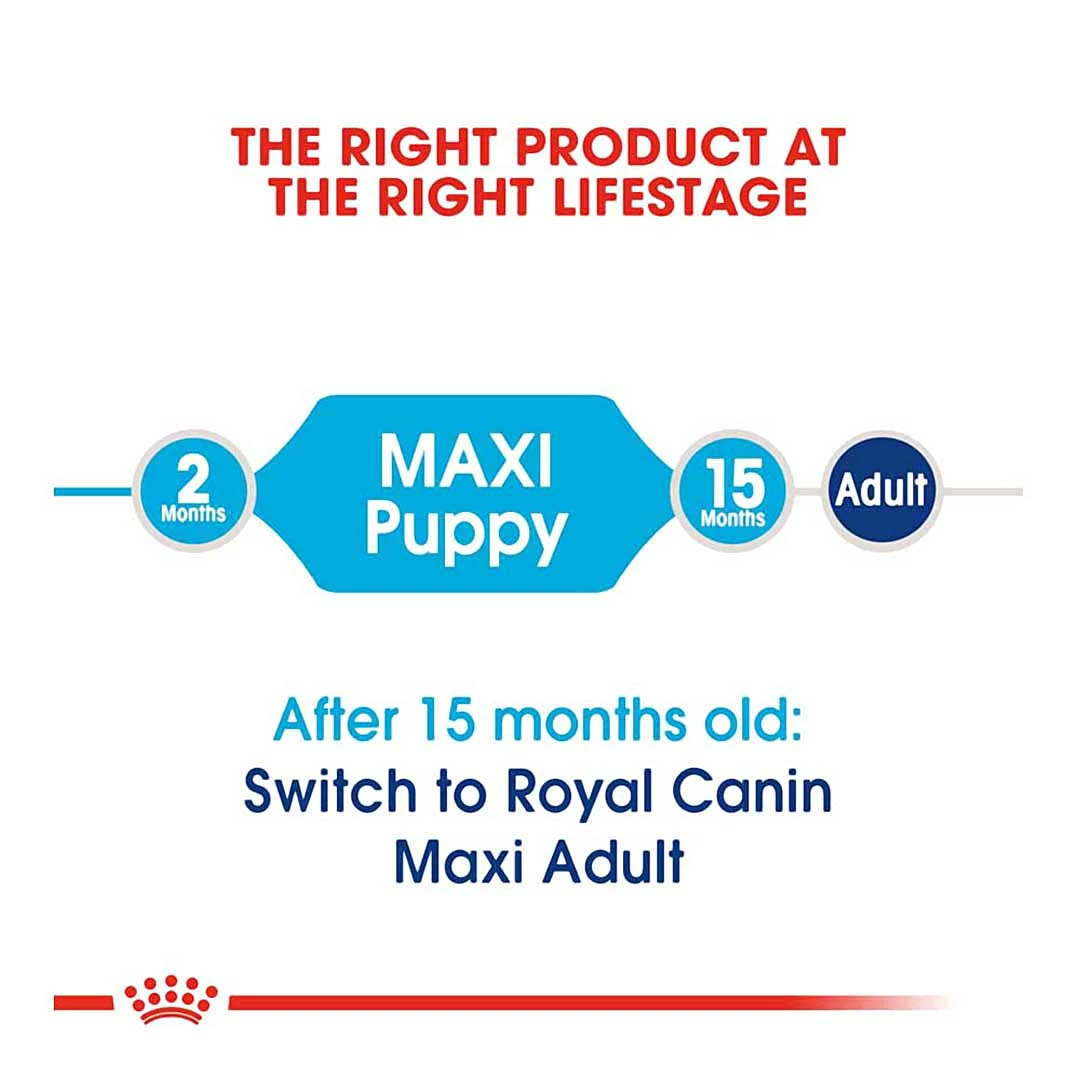 Royal Canin Maxi Junior 4kg 10 Royal Canin Maxi Junior 4kg - Image 10