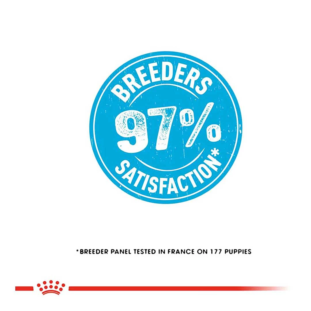 Royal Canin Maxi Junior 4kg 12 Royal Canin Maxi Junior 4kg - Image 12