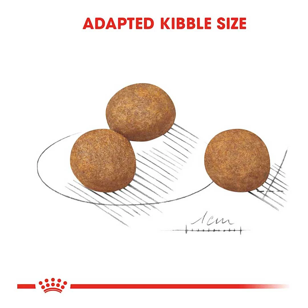 Royal Canin Maxi Junior 4kg 4 Royal Canin Maxi Junior 4kg - Image 4