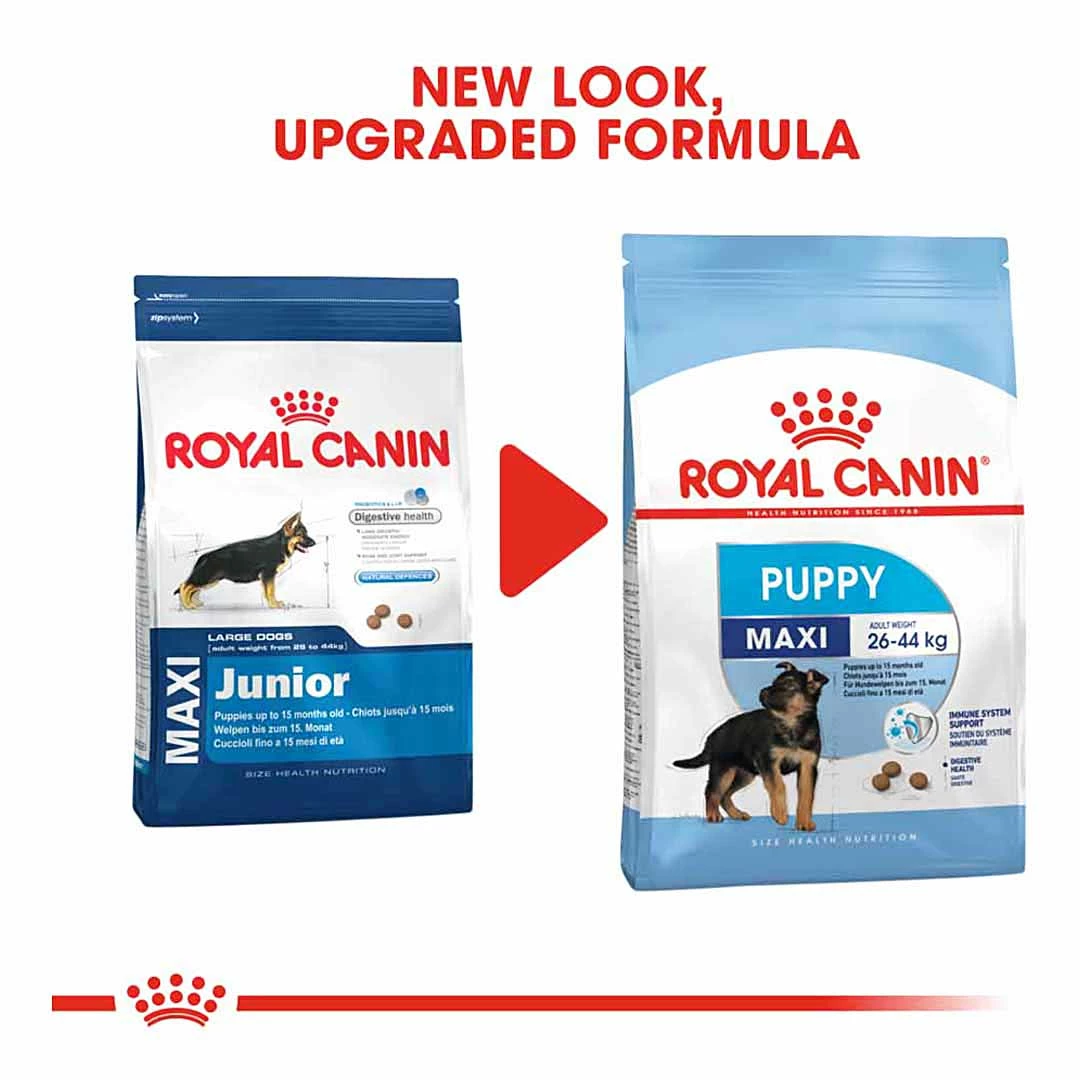 Royal Canin Maxi Junior 4kg 2 Royal Canin Maxi Junior 4kg - Image 2