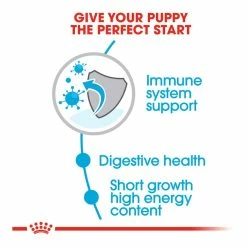 Royal Canin Mini Junior 4kg 8 Royal Canin Mini Junior 4kg -Dog Food shop royal canin puppy mini dry food kibbles special diet 1