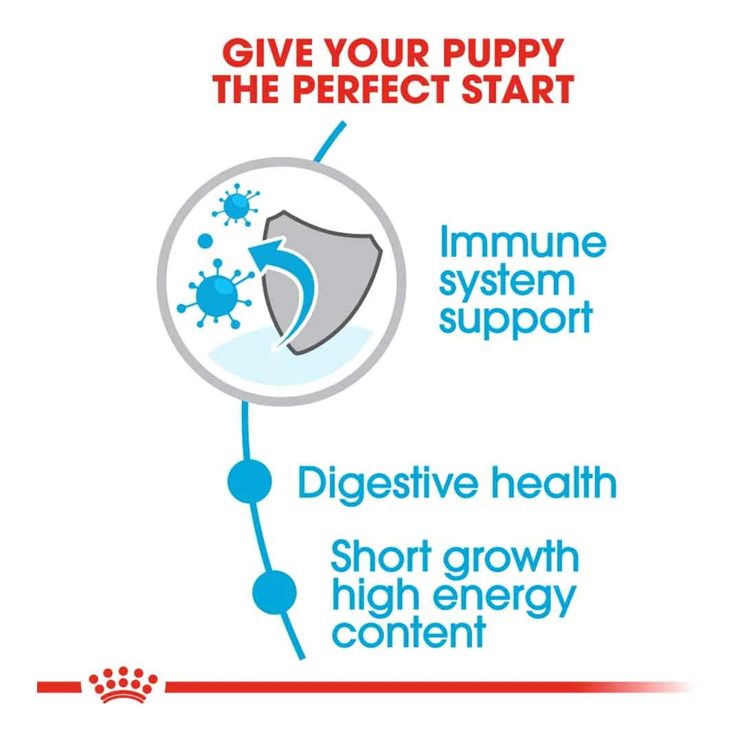 Royal Canin Mini Junior 4kg 3 Royal Canin Mini Junior 4kg - Image 3