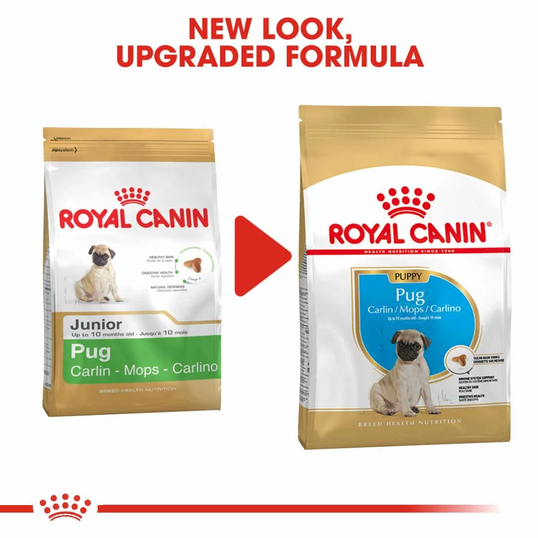 Royal Canin Pug Puppy 1.5kg 2 Royal Canin Pug Puppy 1.5kg - Image 2