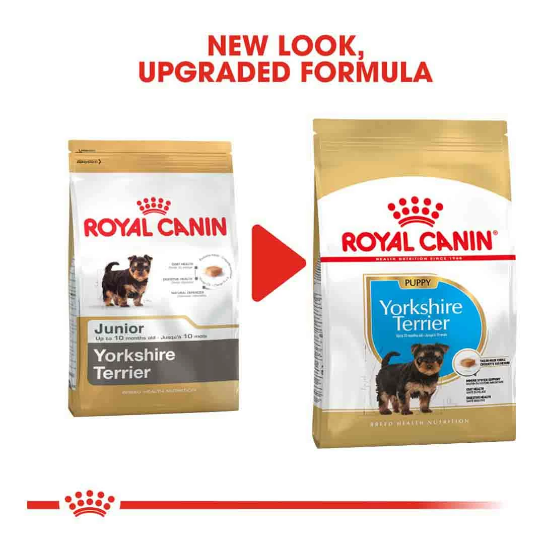 Royal Canin Yorkshire Terrier Junior 1.5kg 2 Royal Canin Yorkshire Terrier Junior 1.5kg - Image 2
