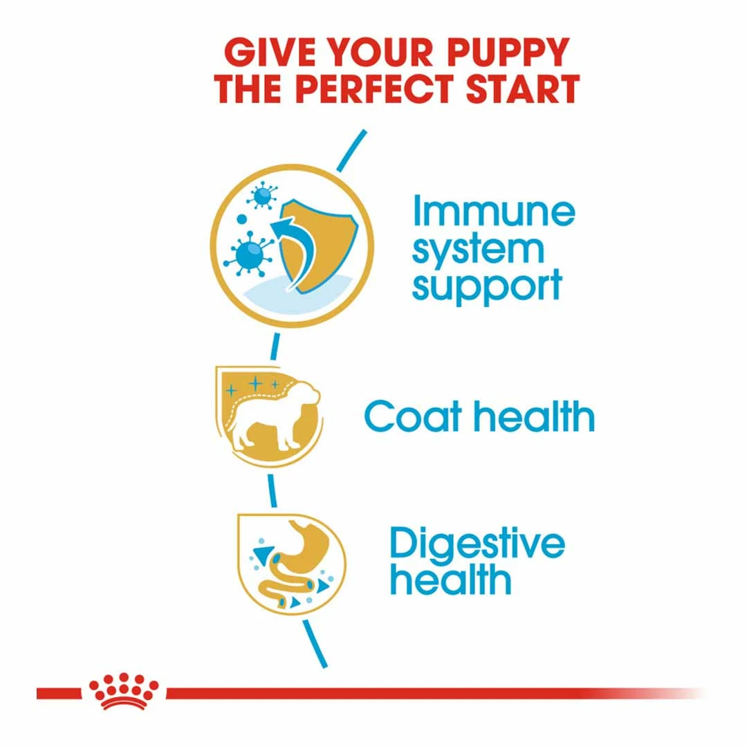 Royal Canin Yorkshire Terrier Junior 1.5kg 4 Royal Canin Yorkshire Terrier Junior 1.5kg - Image 4