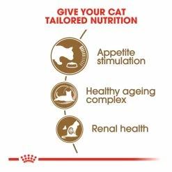 Royal Canin Ageing +12 2kg -Dog Food shop royal canin senior ageing cat dry food kibbles special diet