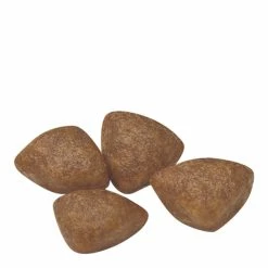 Royal Canin Mini Puppy Dry Dog Food 8kg -Dog Food shop royal canin starter mother babydogs mini dry food kibbles size 1