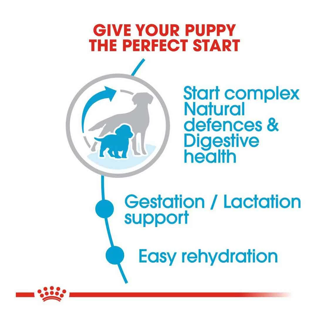 Royal Canin Mini Starter 3kg 3 Royal Canin Mini Starter 3kg - Image 3
