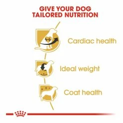 Royal Canin West Highland White Terrier Adult 1.5kg -Dog Food shop royal canin west highland white terrier dry food kibbles special diet