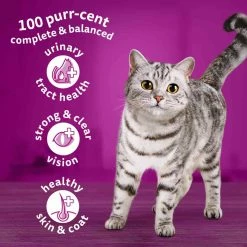 Whiskas 1+ Complete Dry With Chicken Cat Food, 3.8kg 10 Whiskas 1+ Complete Dry With Chicken Cat Food, 3.8kg -Dog Food shop whiskas cat delicious chicken benefits 1