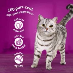 Whiskas Poultry Feasts In Jelly 7+ Senior Wet Cat Food Pouches, 40 X 85g -Dog Food shop whiskas cat poultry feasts in jelly benefits 3