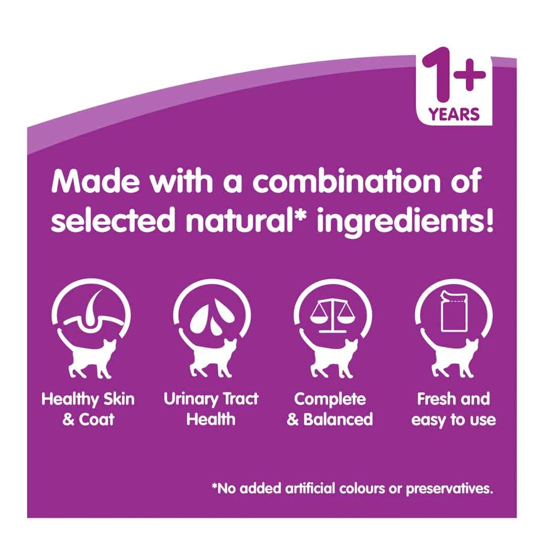 Whiskas Pouch Adult Poultry Jelly 40x100g 2 Whiskas Pouch Adult Poultry Jelly 40x100g - Image 2